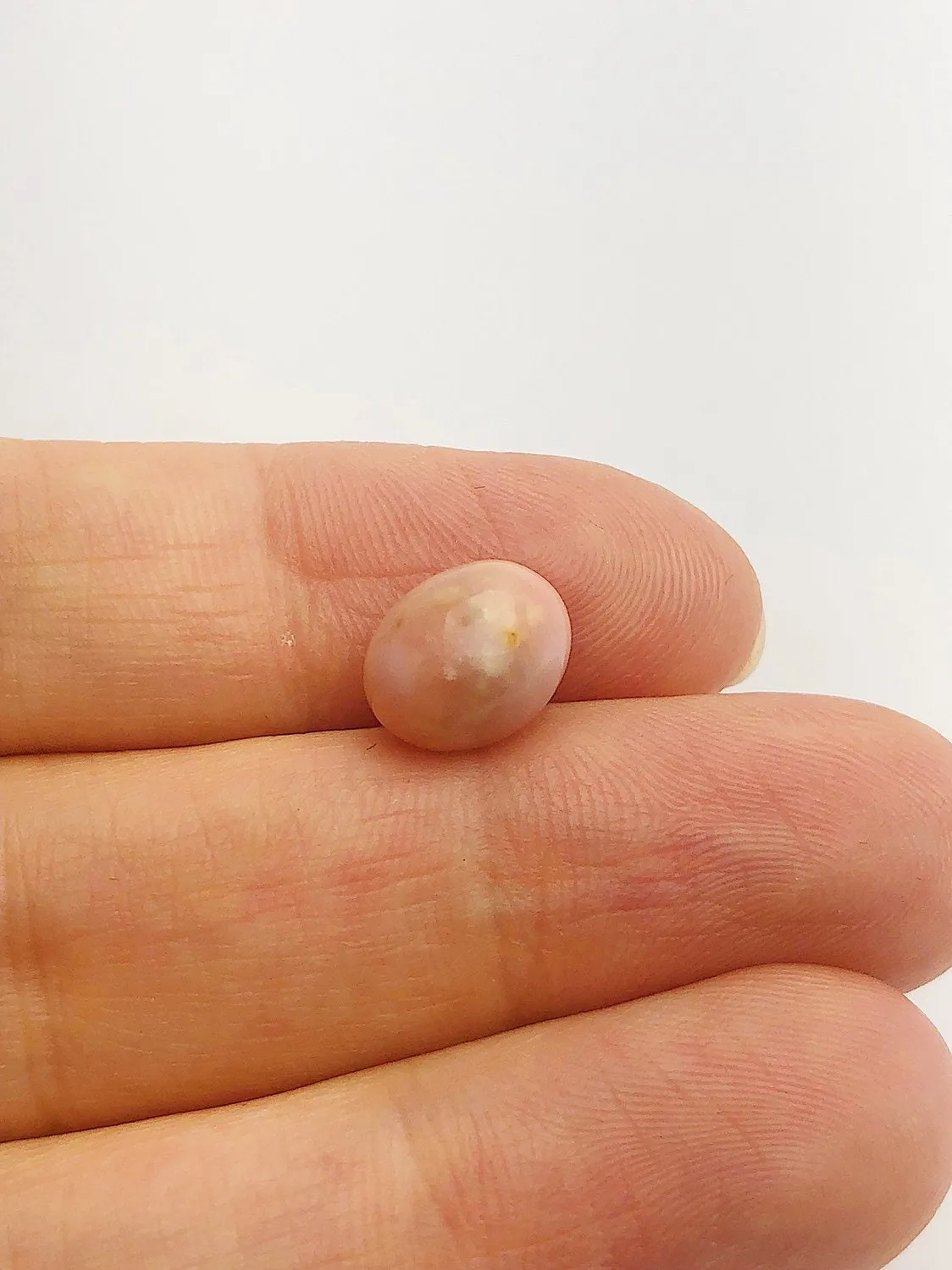 Conch Pearl Loose 10.3mm x 7.3mm No. 10