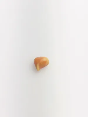 Conch Pearl Loose 8.8mm x 6.46mm No. 26