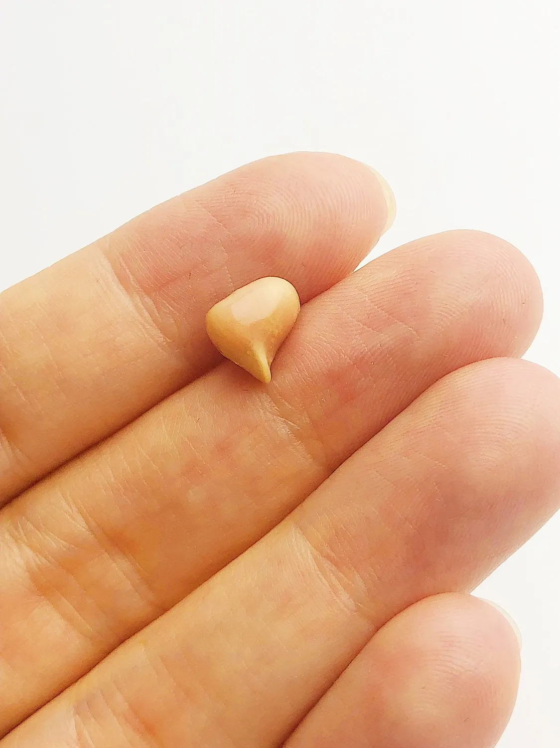 Conch Pearl Loose 8.8mm x 6.46mm No. 26