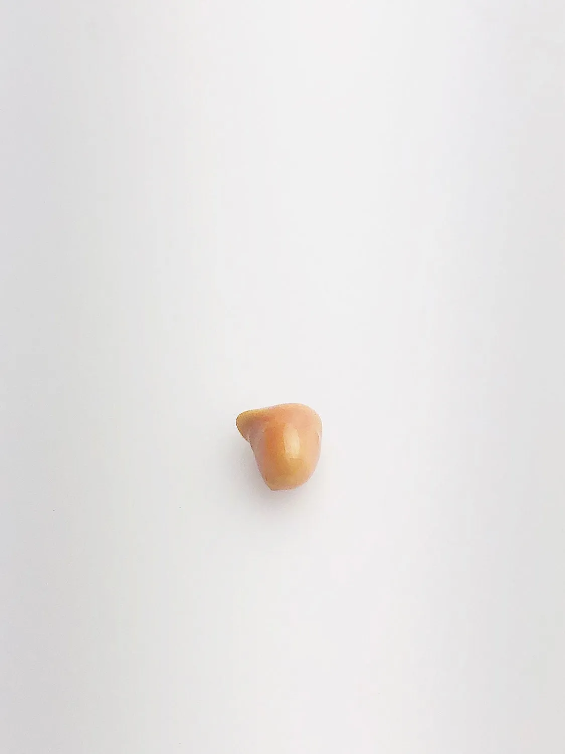 Conch Pearl Loose 8.8mm x 6.46mm No. 26