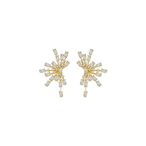Fireworks Statement Earrings