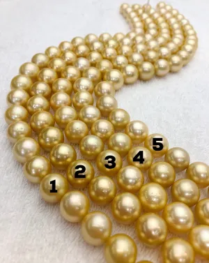 Huge Golden South Sea Pearl Strands (932)