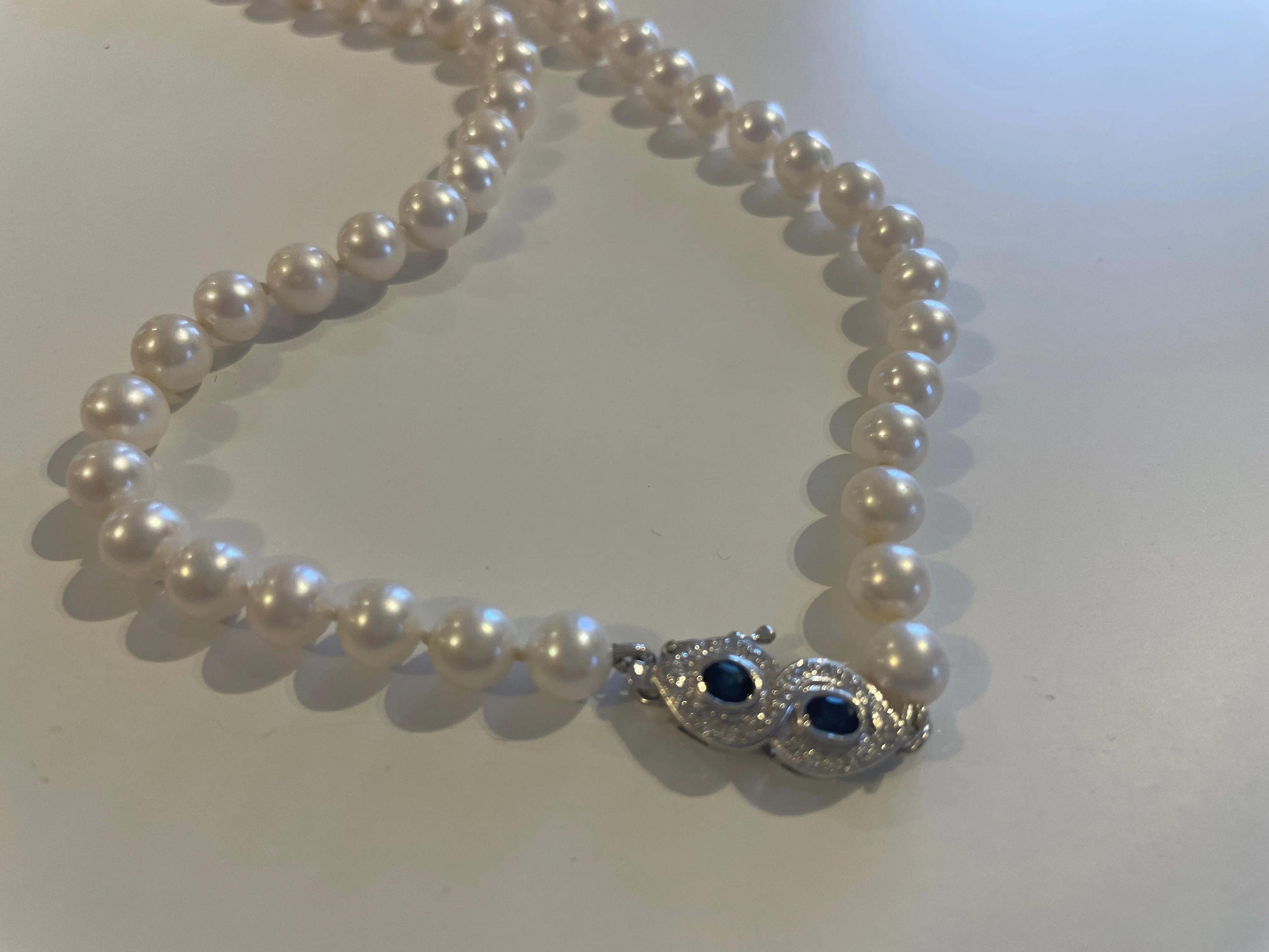 *New* New and Blue Necklace