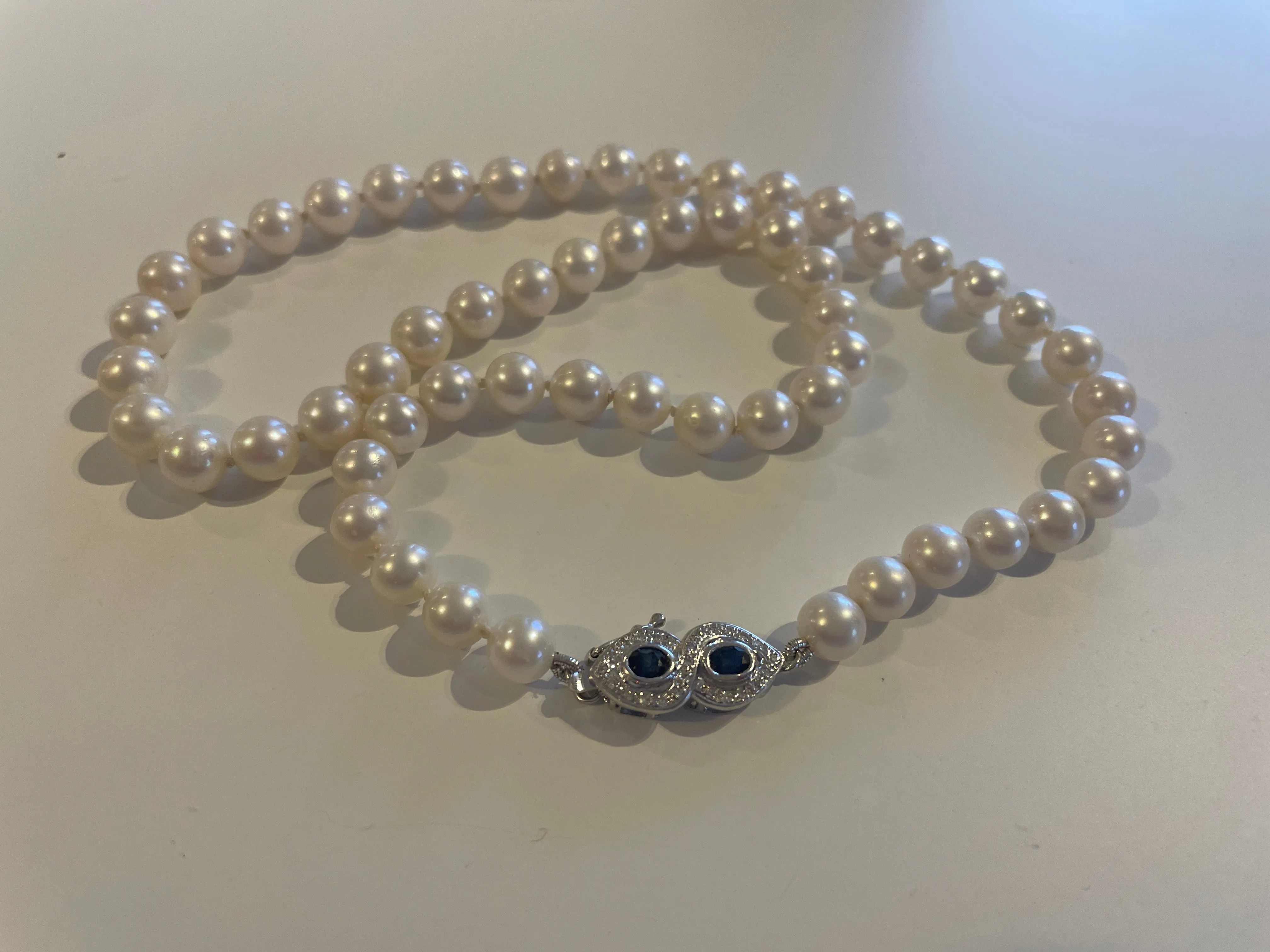 *New* New and Blue Necklace