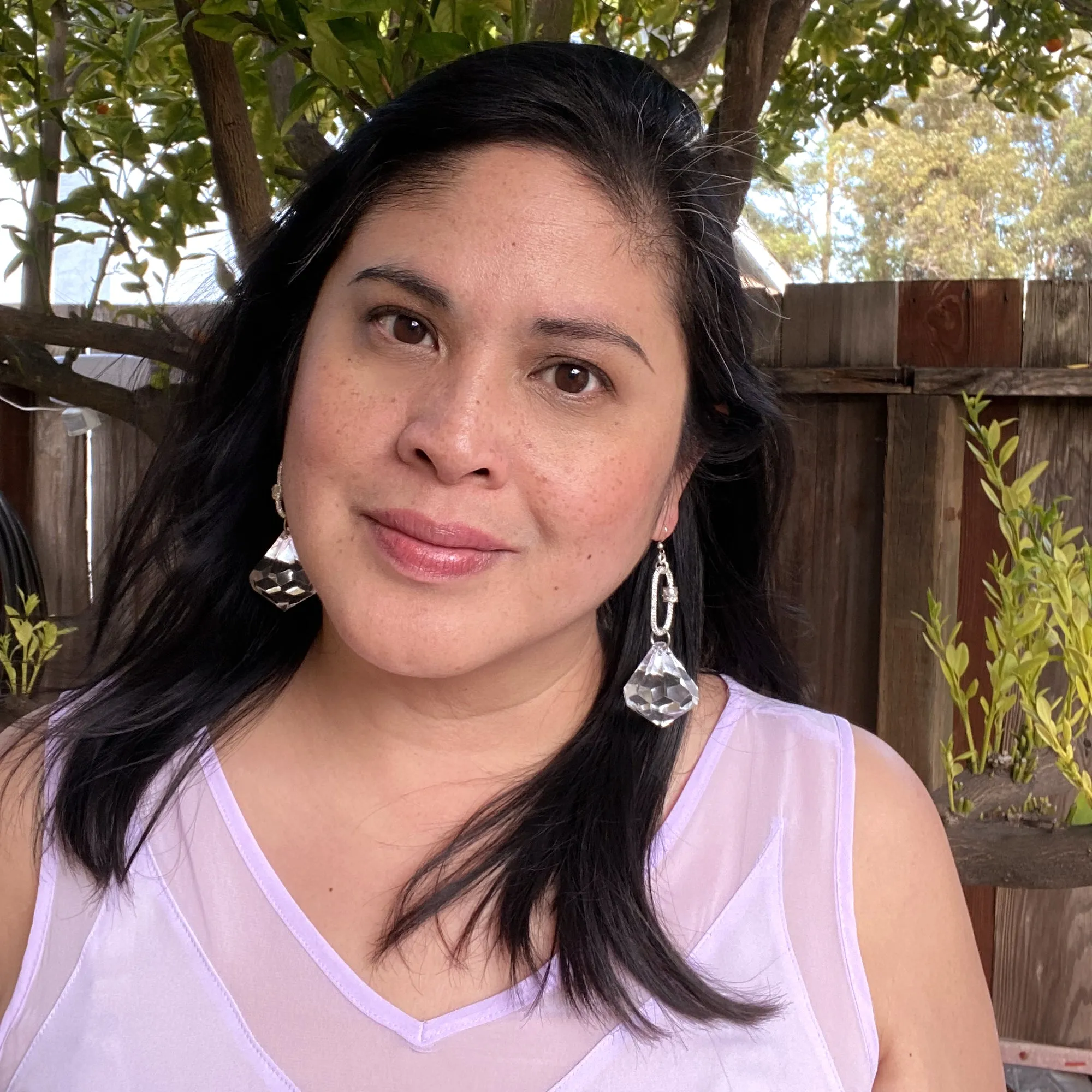 Silver carabiner gem earrings