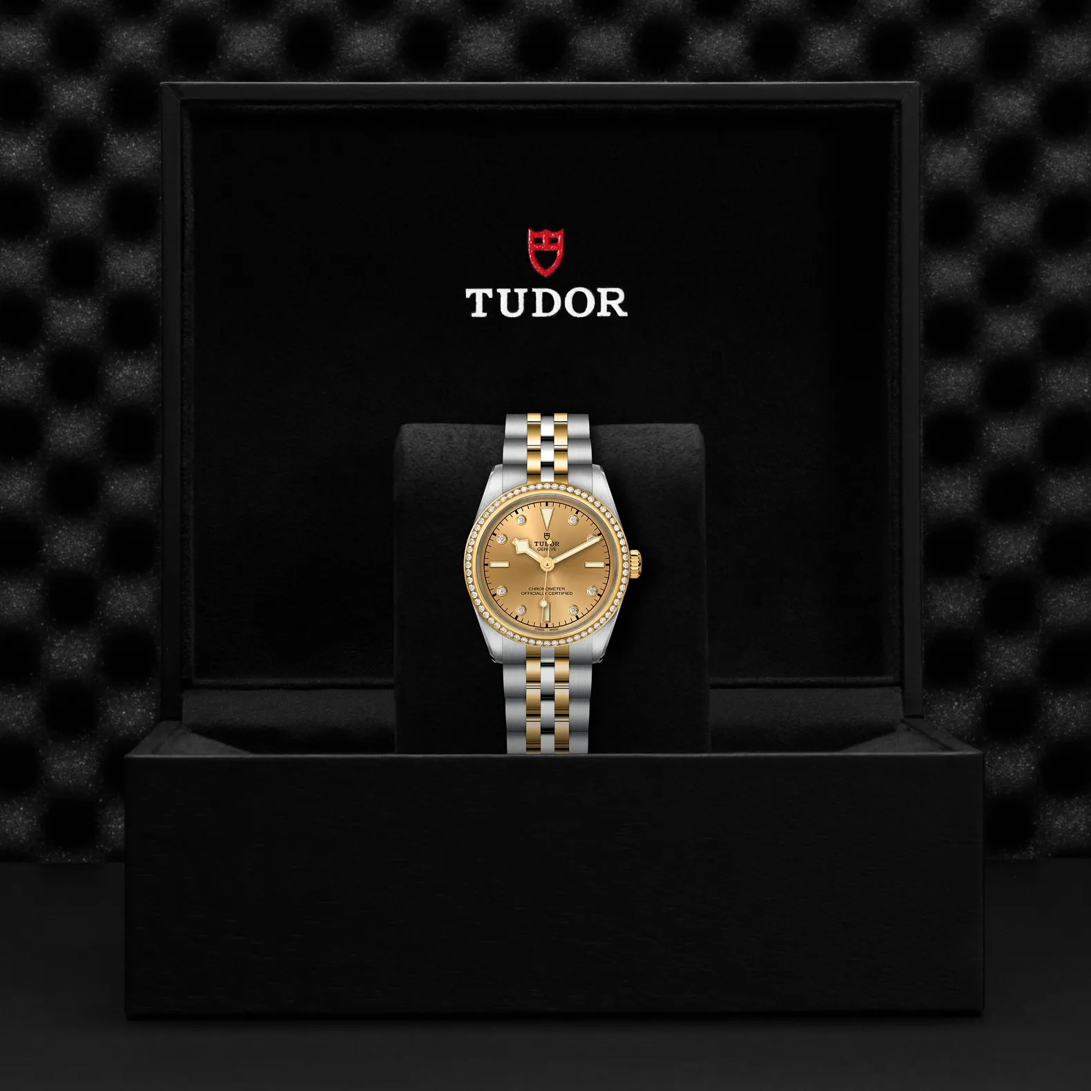 Tudor Black Bay 31 S&G
