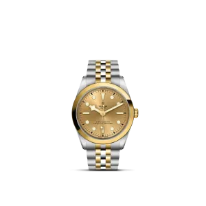 Tudor Black Bay 36 S&G