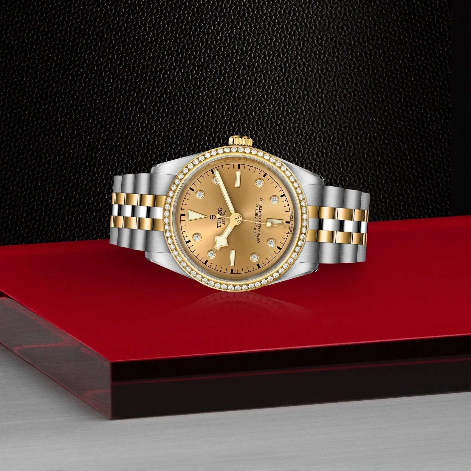 Tudor Black Bay 36 S&G