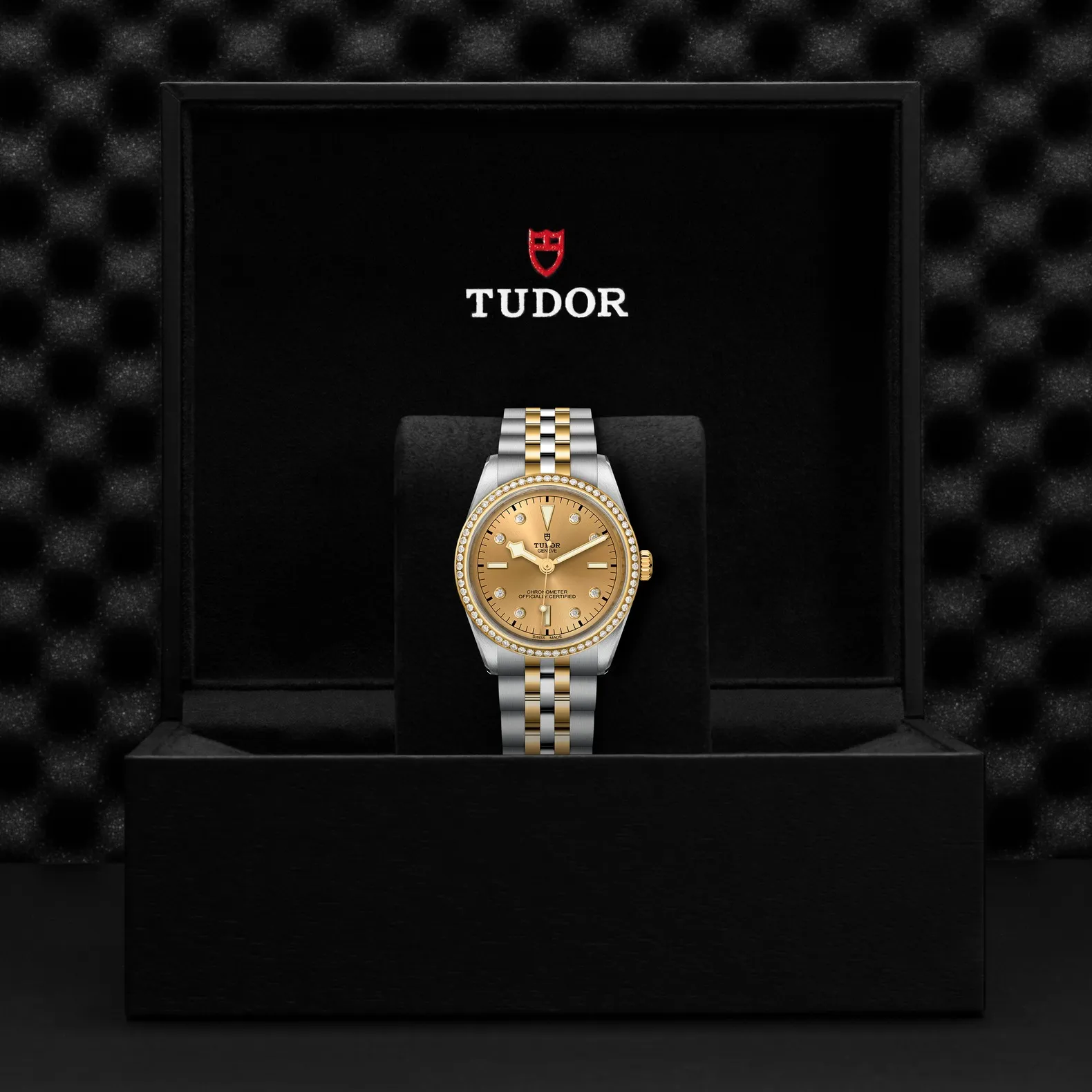 Tudor Black Bay 36 S&G
