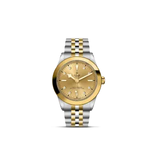 Tudor Black Bay 39 S&G