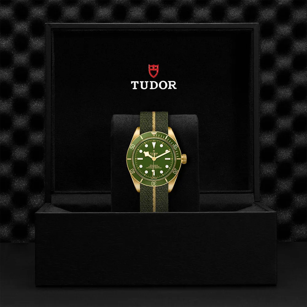 TUDOR Black Bay 58 M79018V-0001