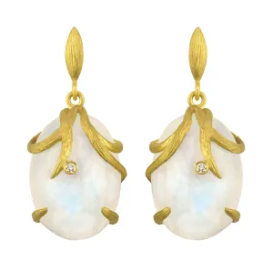 Vine Wrapped Moonstone Earrings