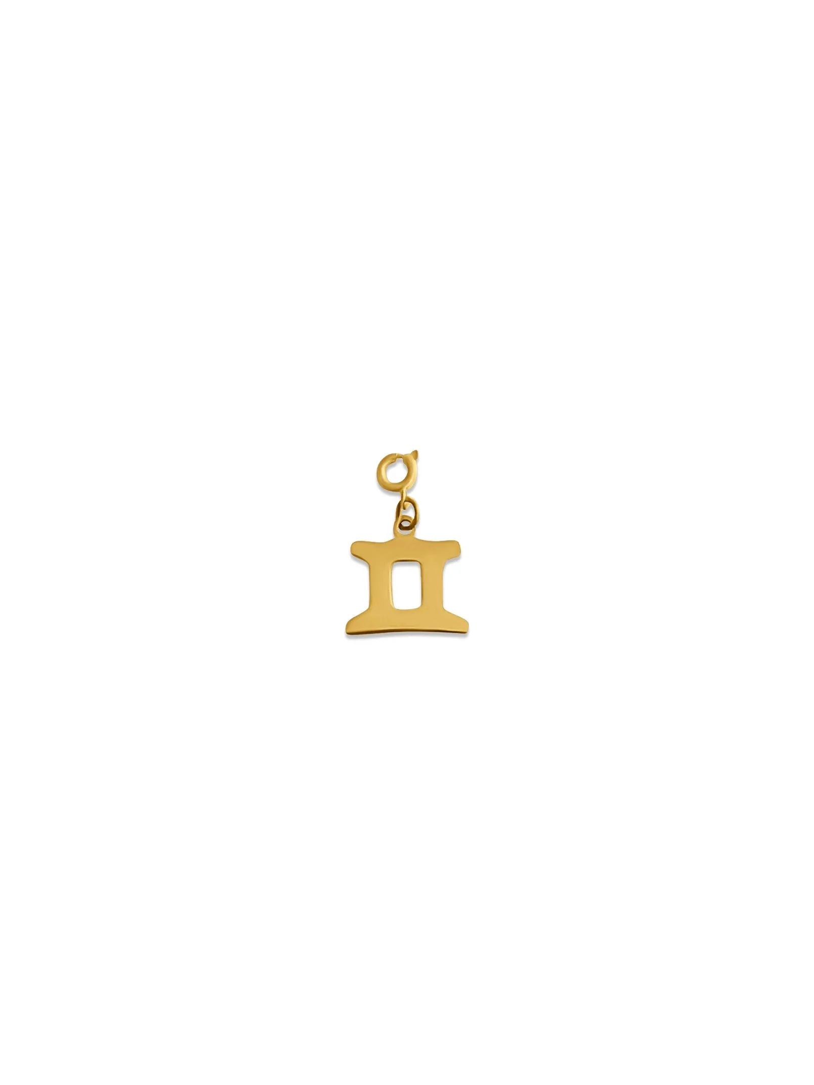 Zodiac Charm